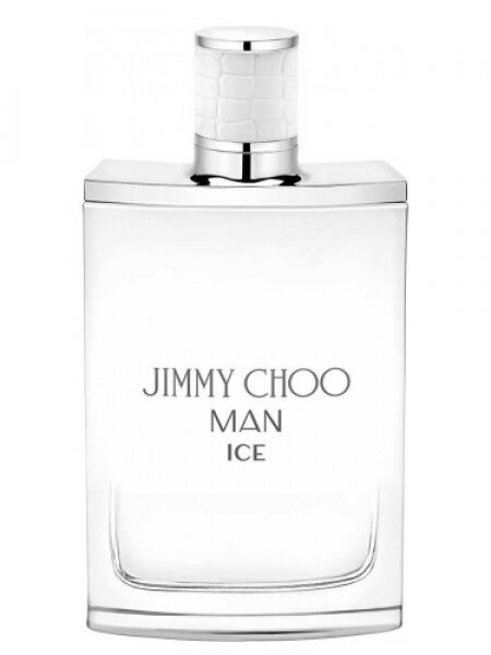 Jimmy Choo Man Ice EDT 30 ml Erkek Parfümü kullananlar yorumlar